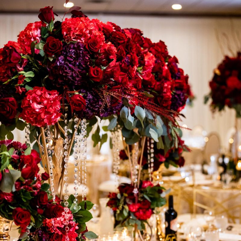 gallery photo number 5