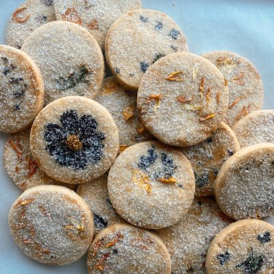 gallery photo number 21