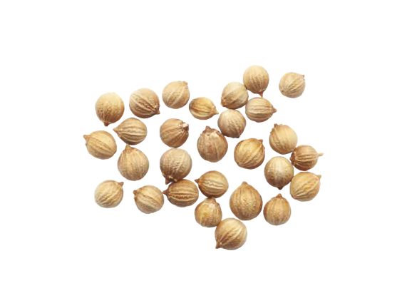 Coriander Seed