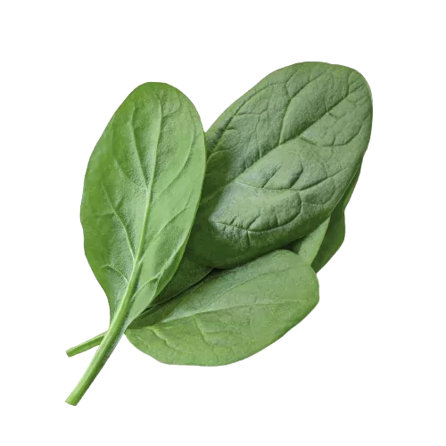 Spinach