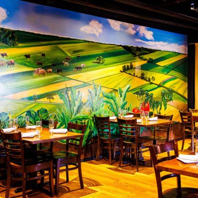 gallery photo number 5