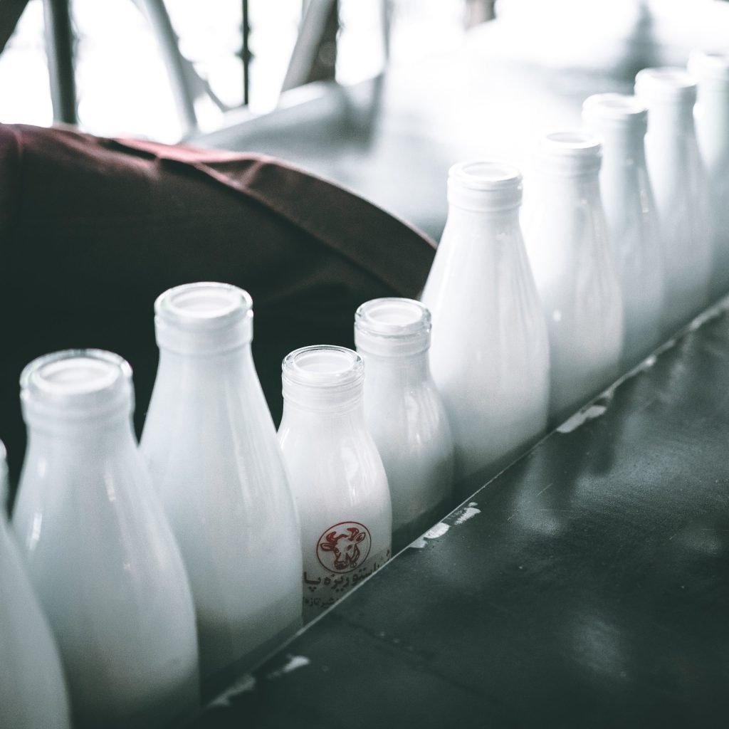 The Many Different Types of Milk
