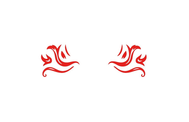 Alma Gaucha Worcester logo top - Homepage