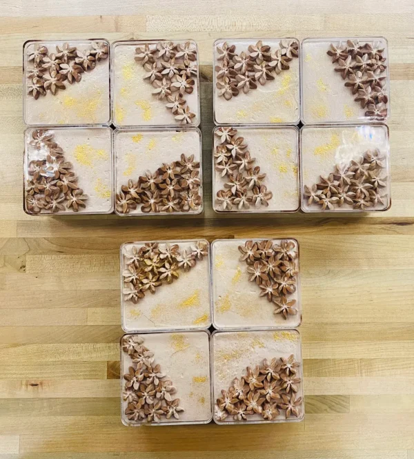 Gluten Free Vanilla Bean Chocolate Mousse Cake