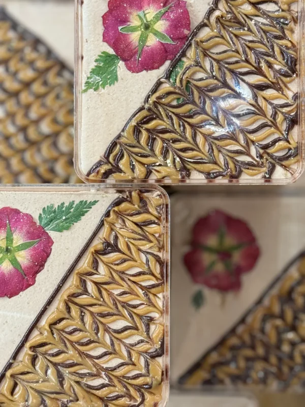 Peanut butter chocolate mousse cake