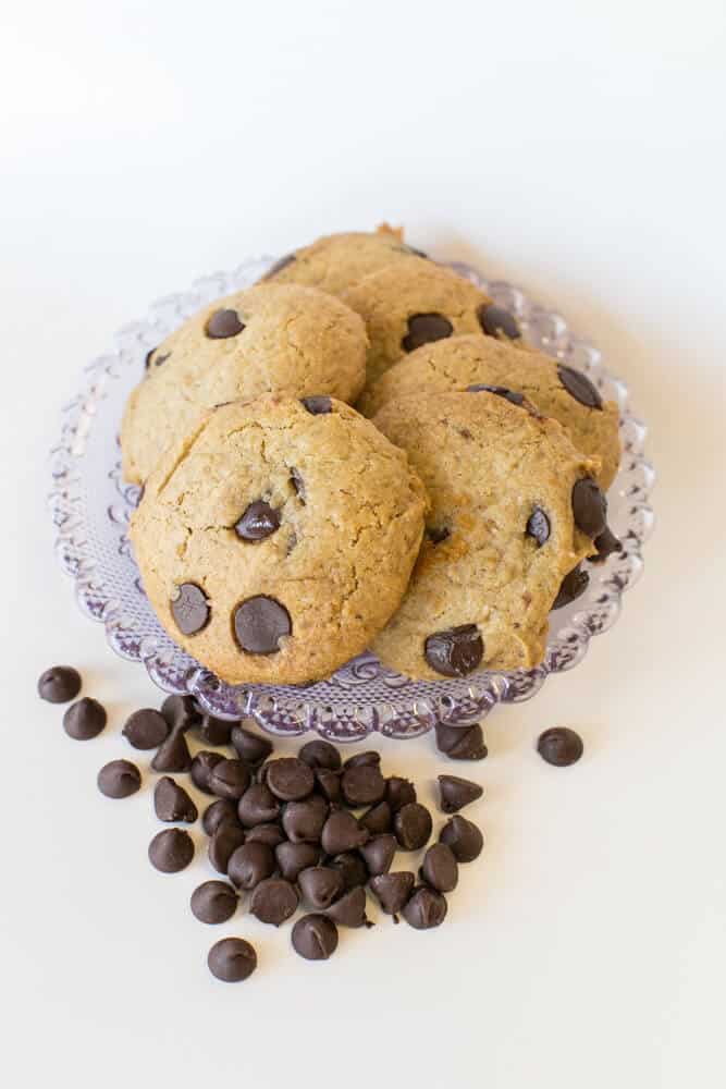 Vegan Chocolate Chip