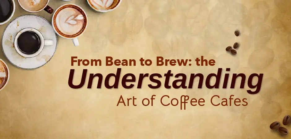 From Bean to Brew: Understanding the Art of Coffee Cafes