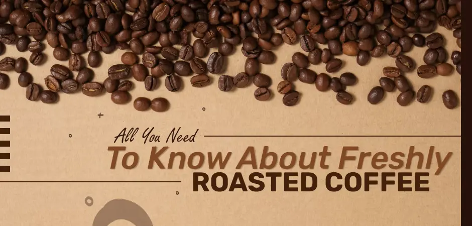 All You Need to Know About Freshly Roasted Coffee