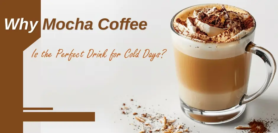 Why Mocha Coffee Is the Perfect Drink for Cold Days?
