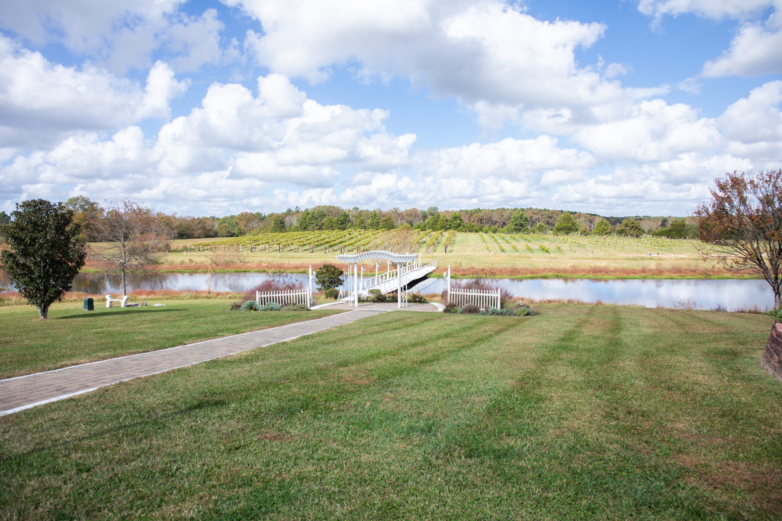 Vineyard at Laurel Haven Estate in Lancaster, SC