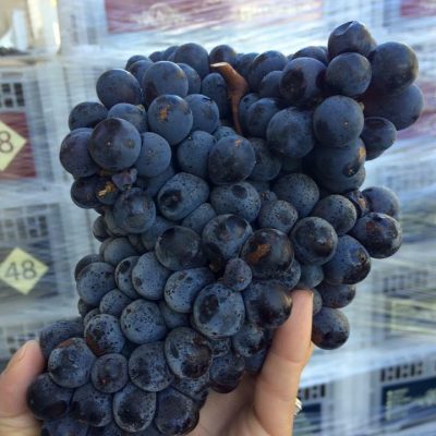 gallery photo number 5