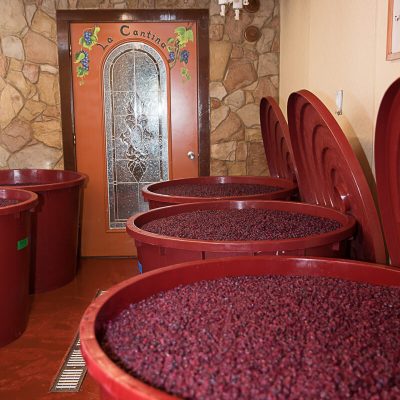 gallery photo number 4