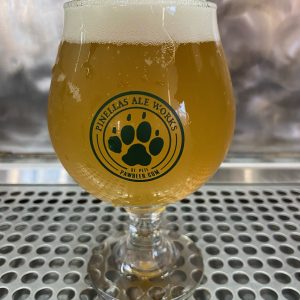 image1-1-scaled-1.jpeg Belgian Tulip Glass