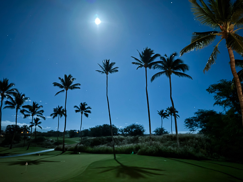 We are grateful for your presence at our MOON NIGHT SOIRÉE.