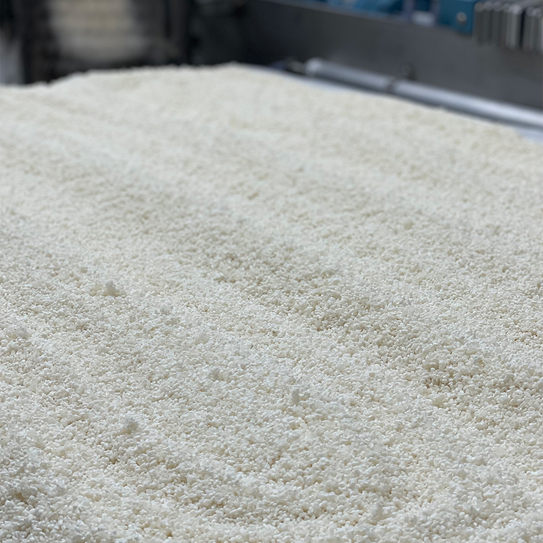 ABOUT THE KOJI MOLD