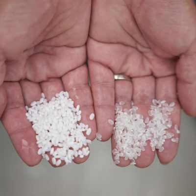 gallery photo number 11