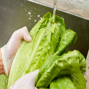 6 Common Cooking & Food Prep Questions