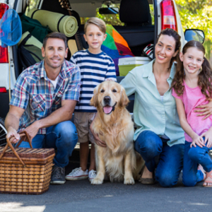 3 Summer Food Safety Tips