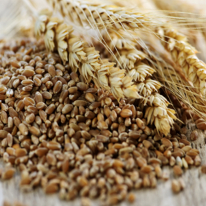 6 Heart-Healthy Foods for Heart Month