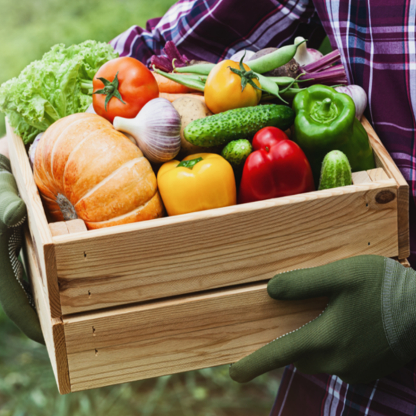 Guide to Seasonal Produce