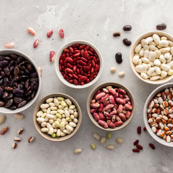 Benefits of Beans as a Protein Source