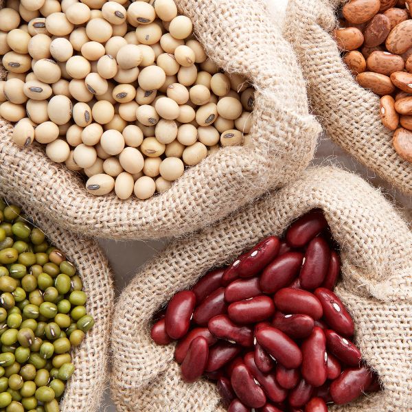 How to Get Enough Protein as a Vegan or Vegetarian