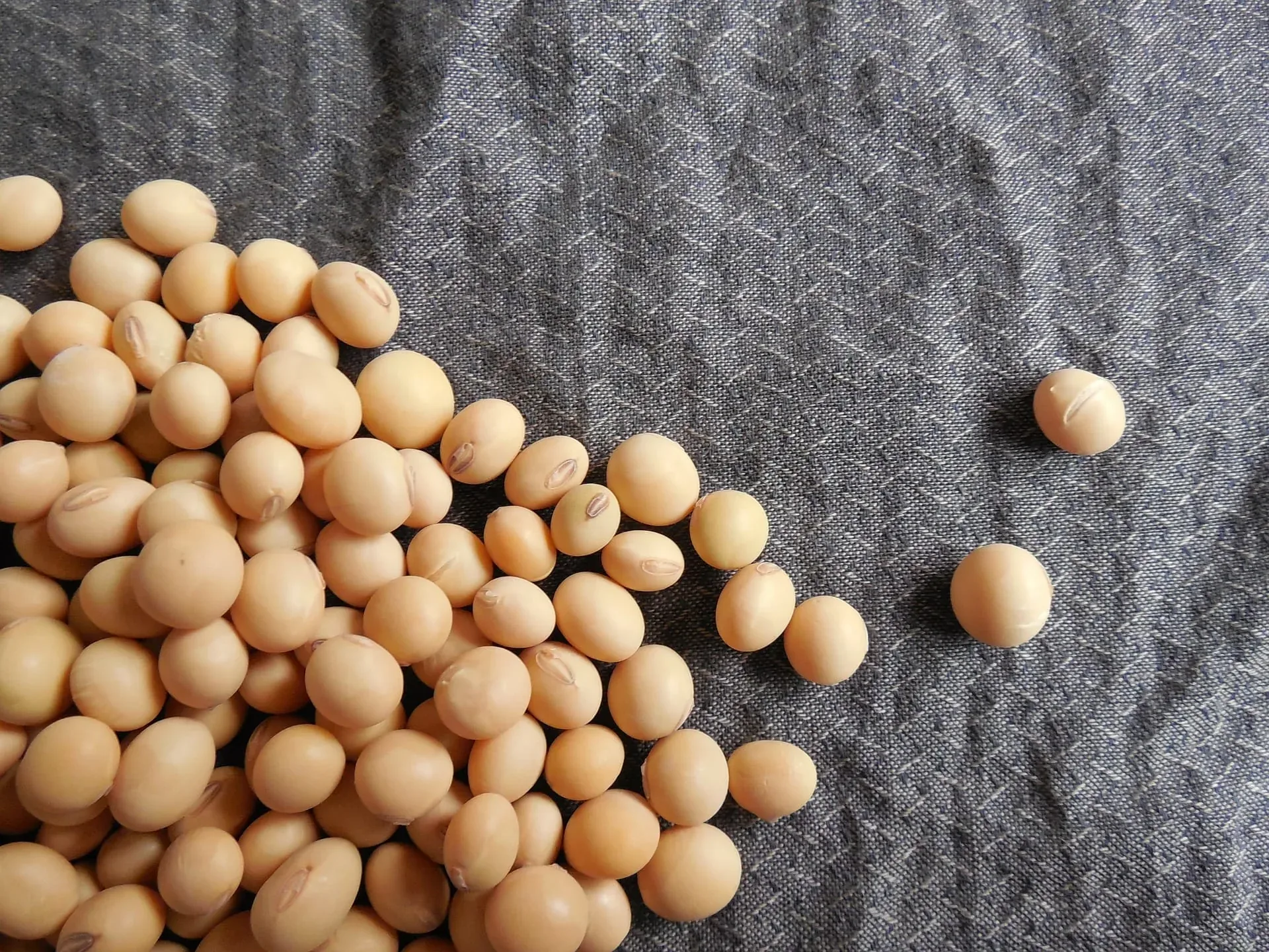 The Journey of a Soybean